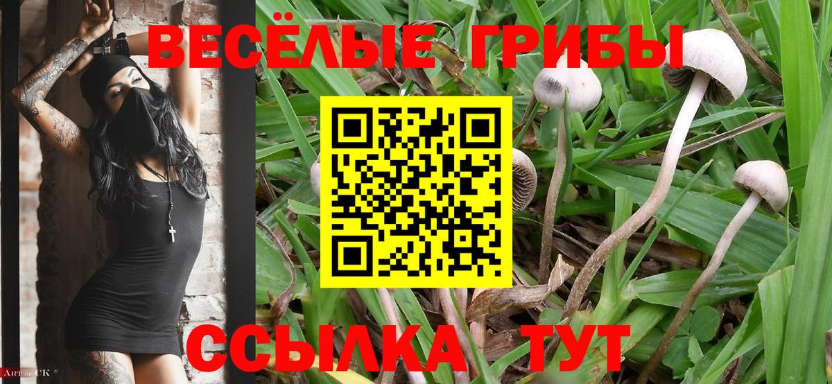 Обнинск  Галлюциногенные грибы Magic Shrooms  Галлюциногенные грибы GOLDEN TEACHER  Вход с VPN 